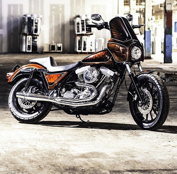 FXRS progressive Wirth Gabelfedern Harley-Davidson FXR FXLR 87- 